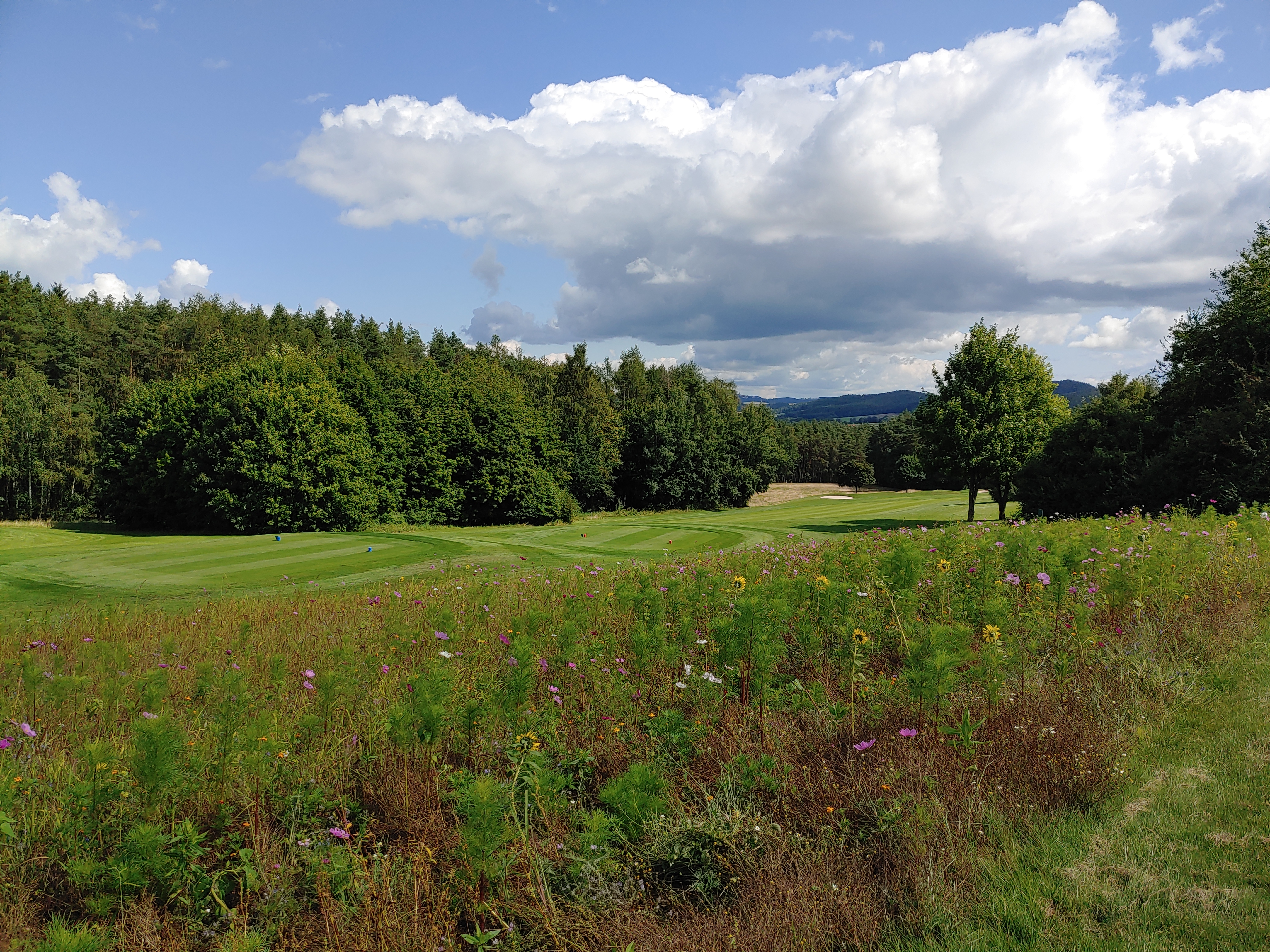 Die Blühflächen auf dem Golfplatz wurden ausgeweitet