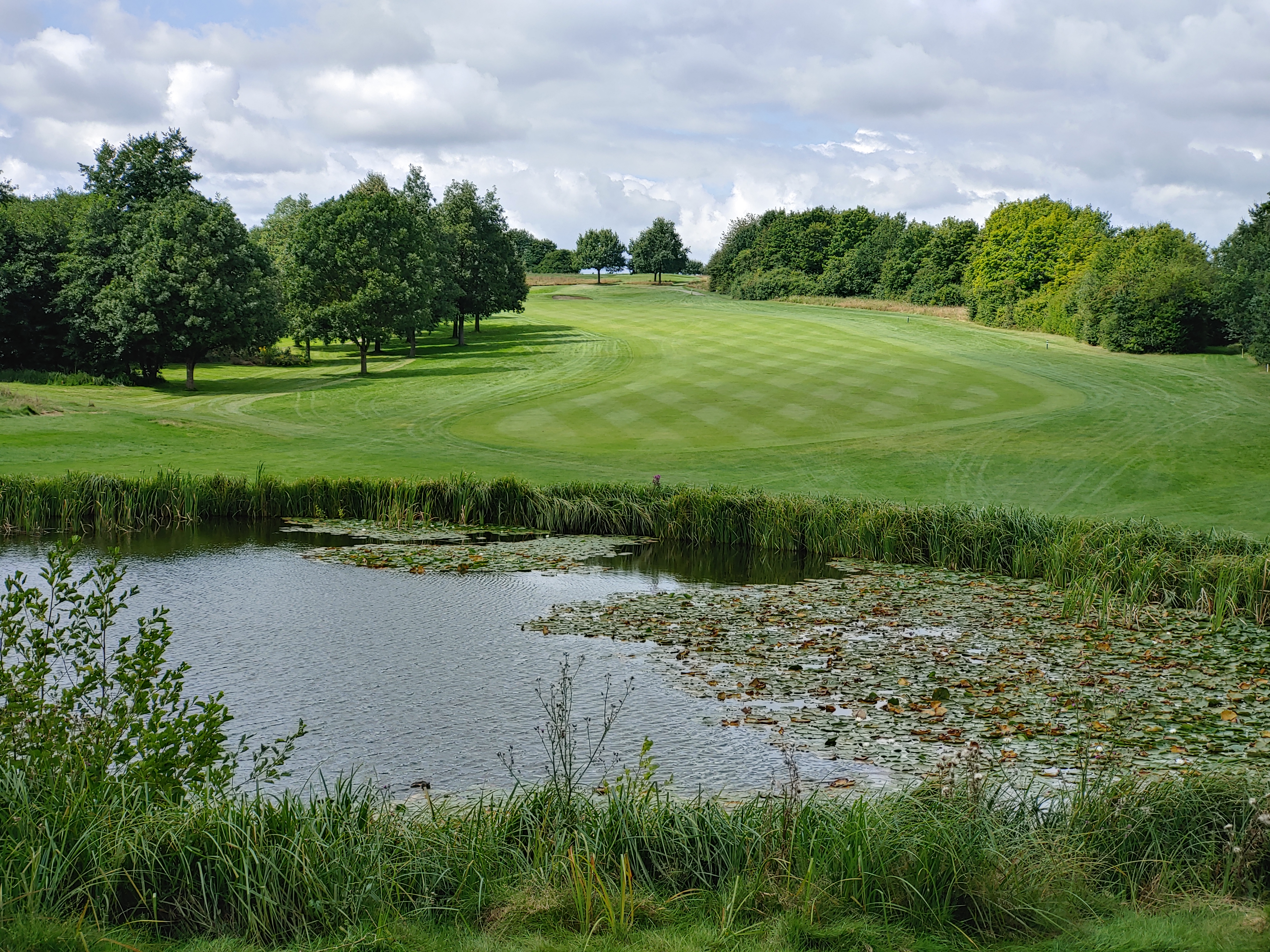 Blühflächen auf dem Golfplatz