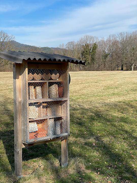 Insektenhotel mit Blick auf die Magerrasenwiese (Foto: DGV)